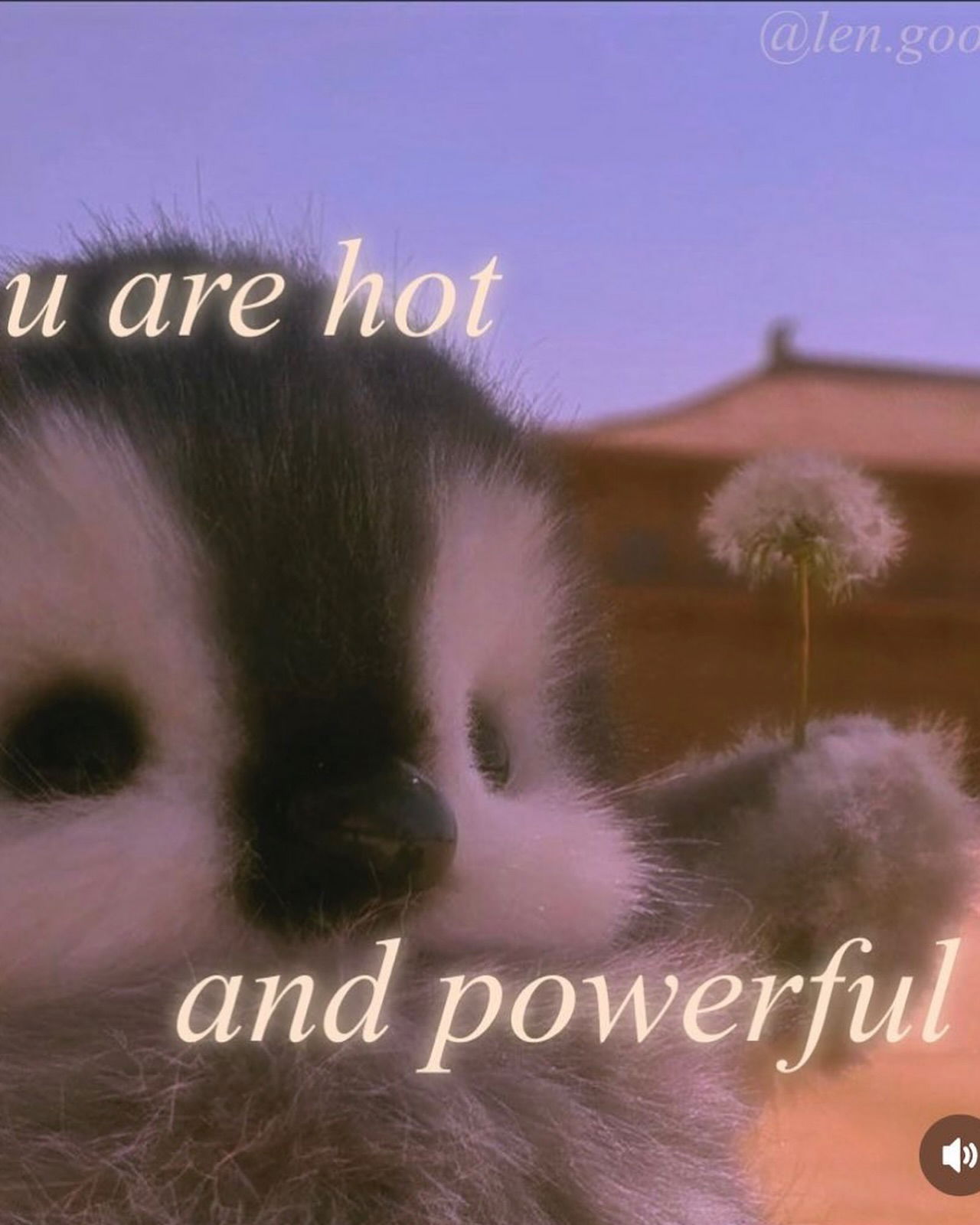 iamm3dusa instagram image archive image