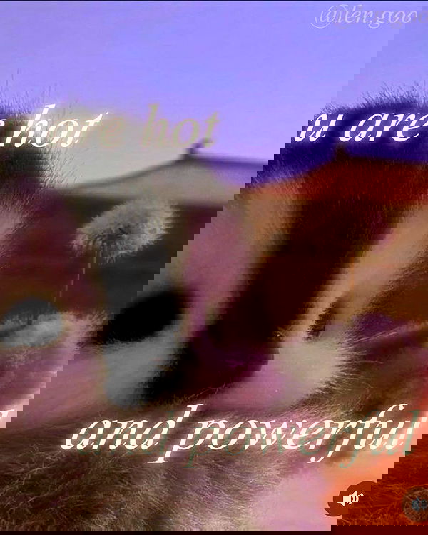 iamm3dusa image ~ Altpins