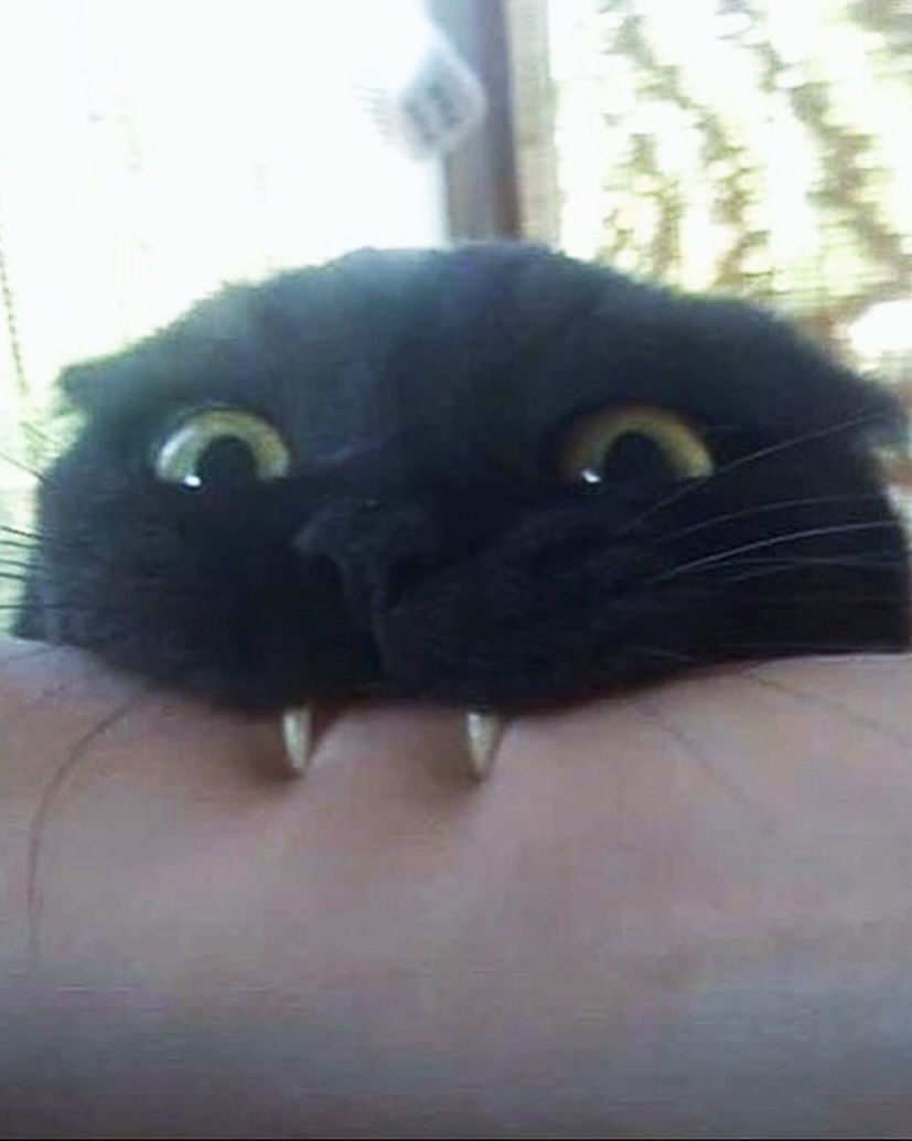 iamm3dusa instagram image archive image