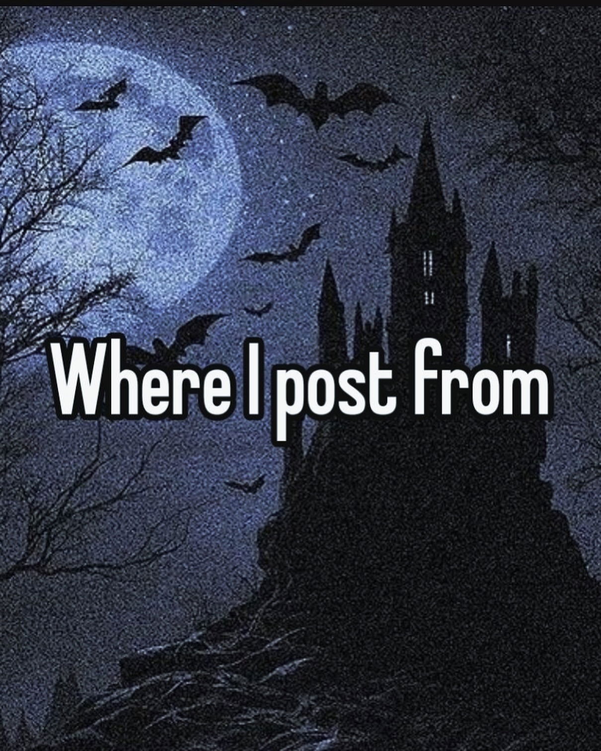 iamm3dusa instagram image archive image