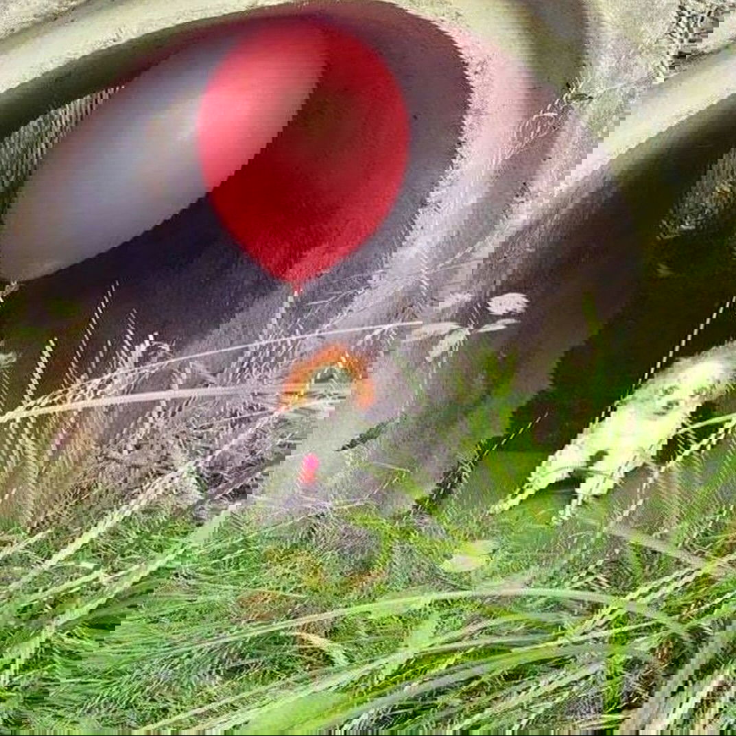 iamm3dusa instagram image archive image