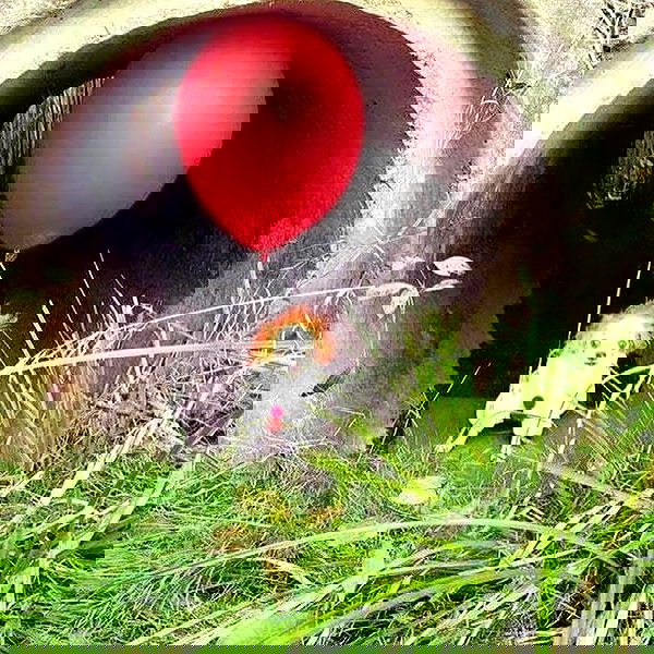 iamm3dusa image ~ Altpins