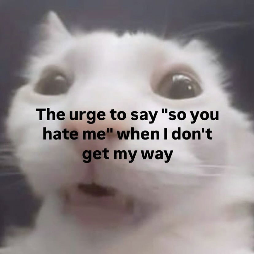 iamm3dusa instagram image archive image