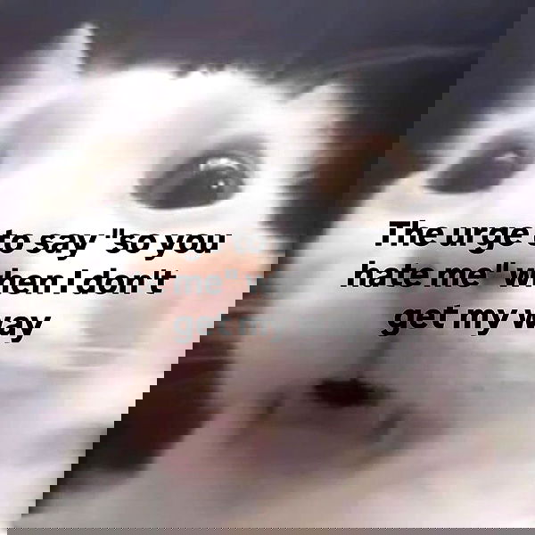 iamm3dusa image ~ Altpins