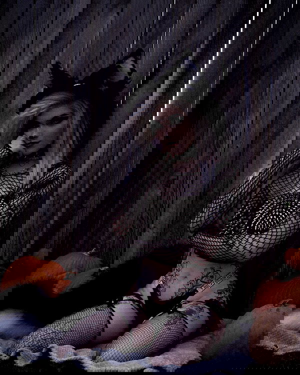 iamm3dusa image ~ Altpins