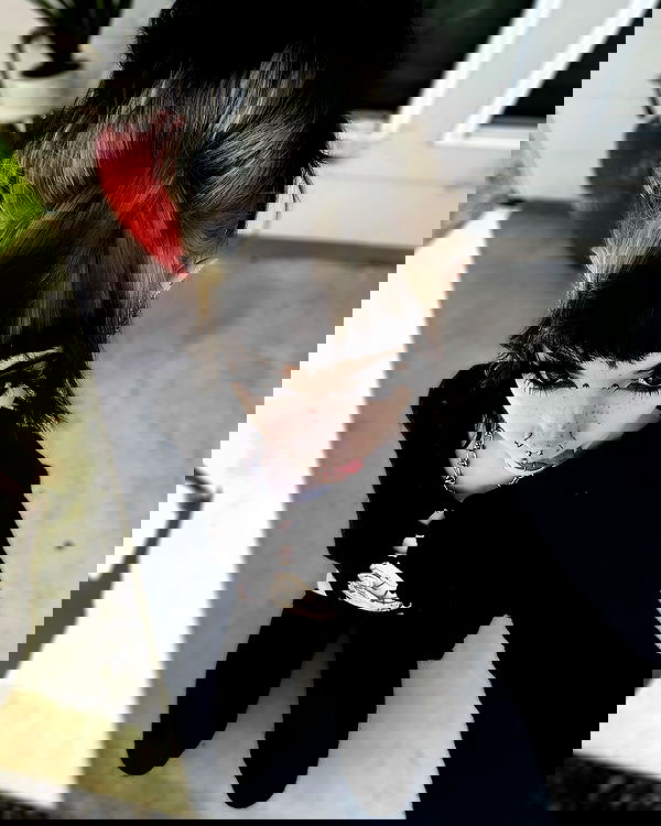 iamm3dusa image ~ Altpins