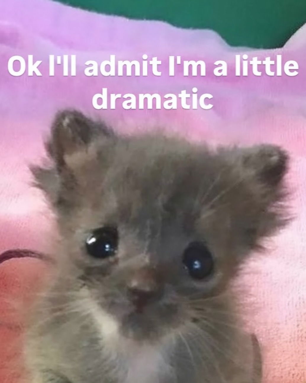 iamm3dusa instagram image archive image