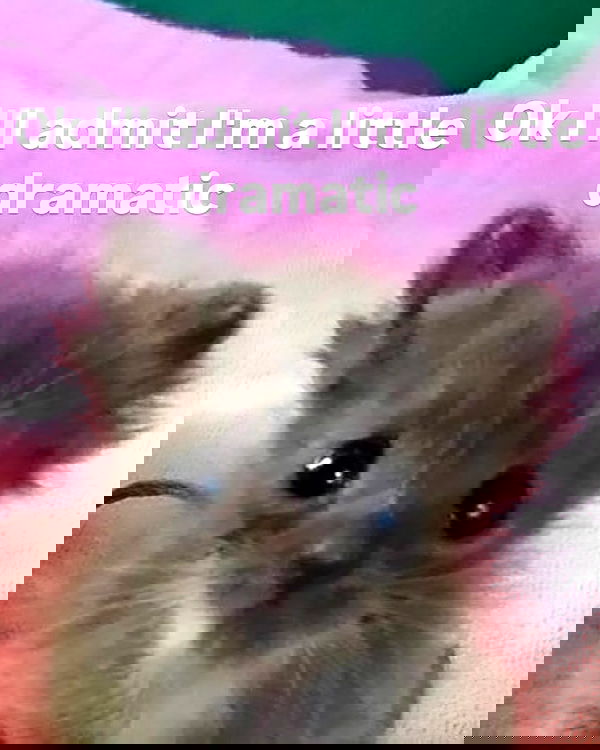 iamm3dusa image ~ Altpins