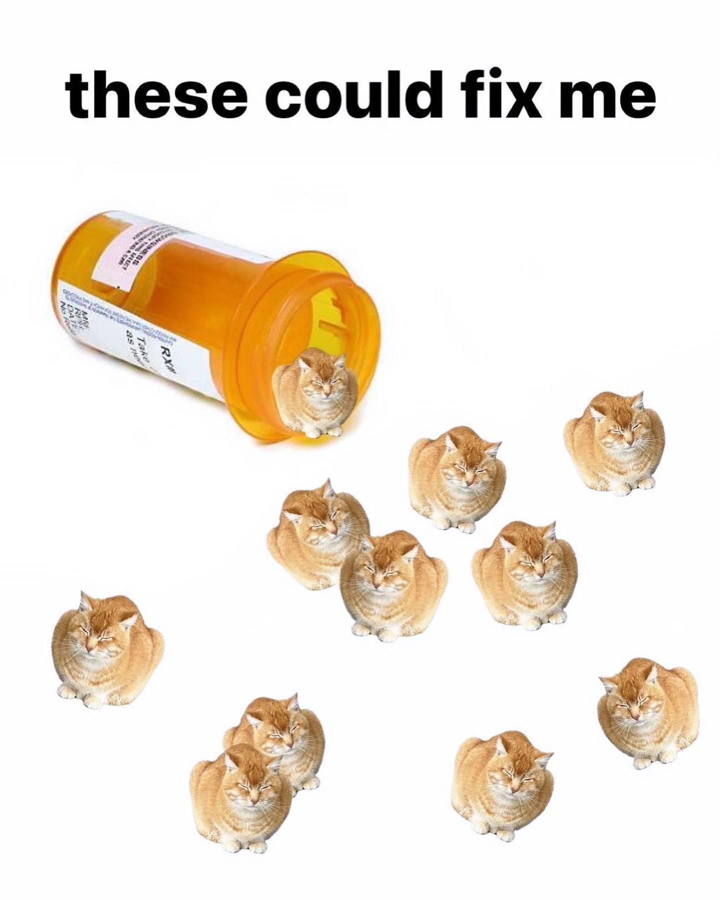 iamm3dusa instagram image archive image