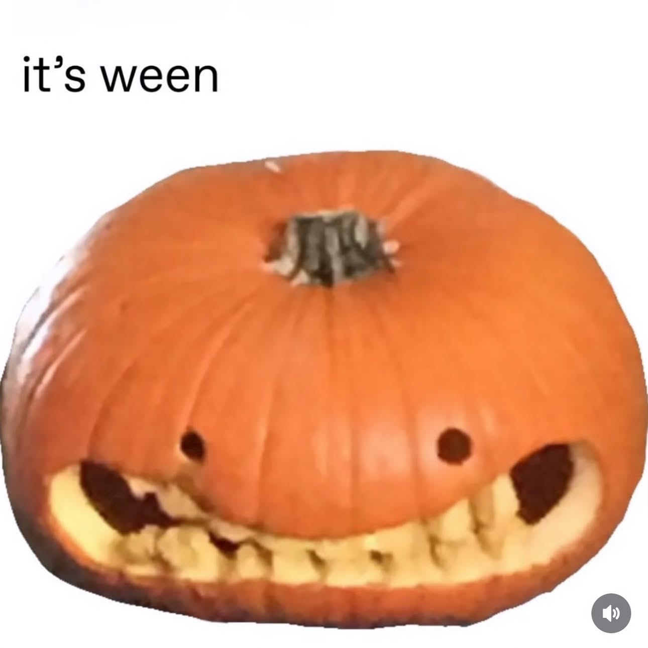 iamm3dusa instagram image archive image