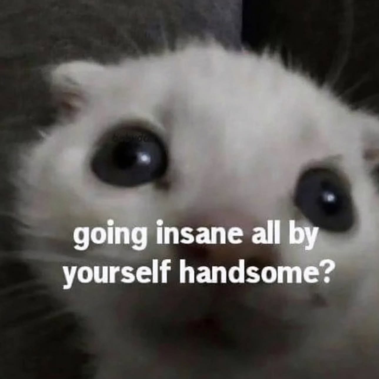 iamm3dusa instagram image archive image