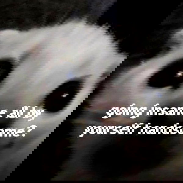 iamm3dusa image ~ Altpins