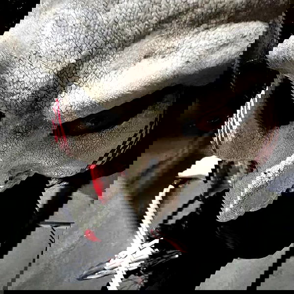 iamm3dusa image ~ Altpins