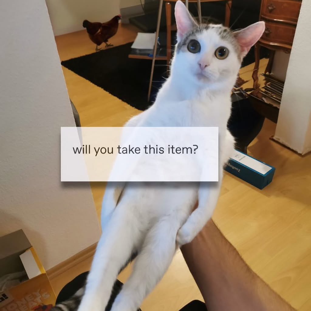 iamm3dusa instagram image archive image