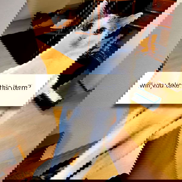 iamm3dusa image ~ Altpins