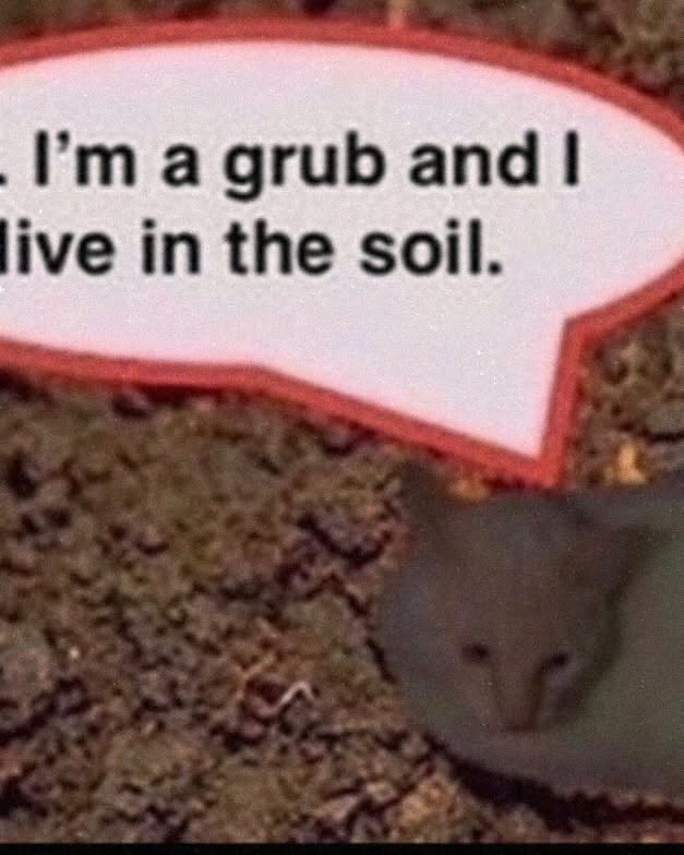 iamm3dusa instagram image archive image