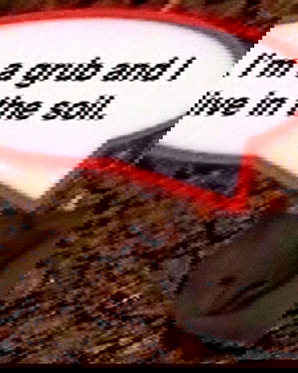 iamm3dusa image ~ Altpins