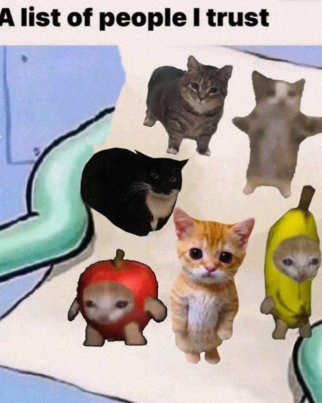 iamm3dusa instagram image archive image