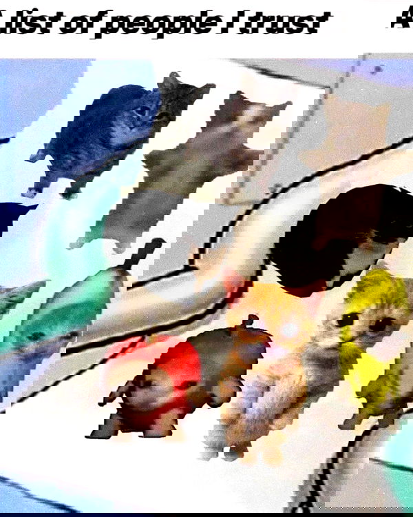 iamm3dusa image ~ Altpins