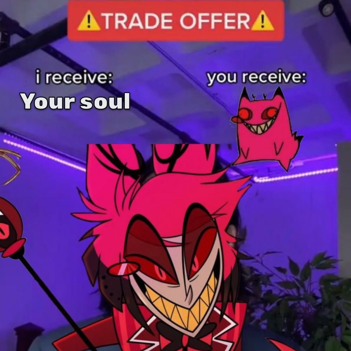 iamm3dusa instagram image archive image