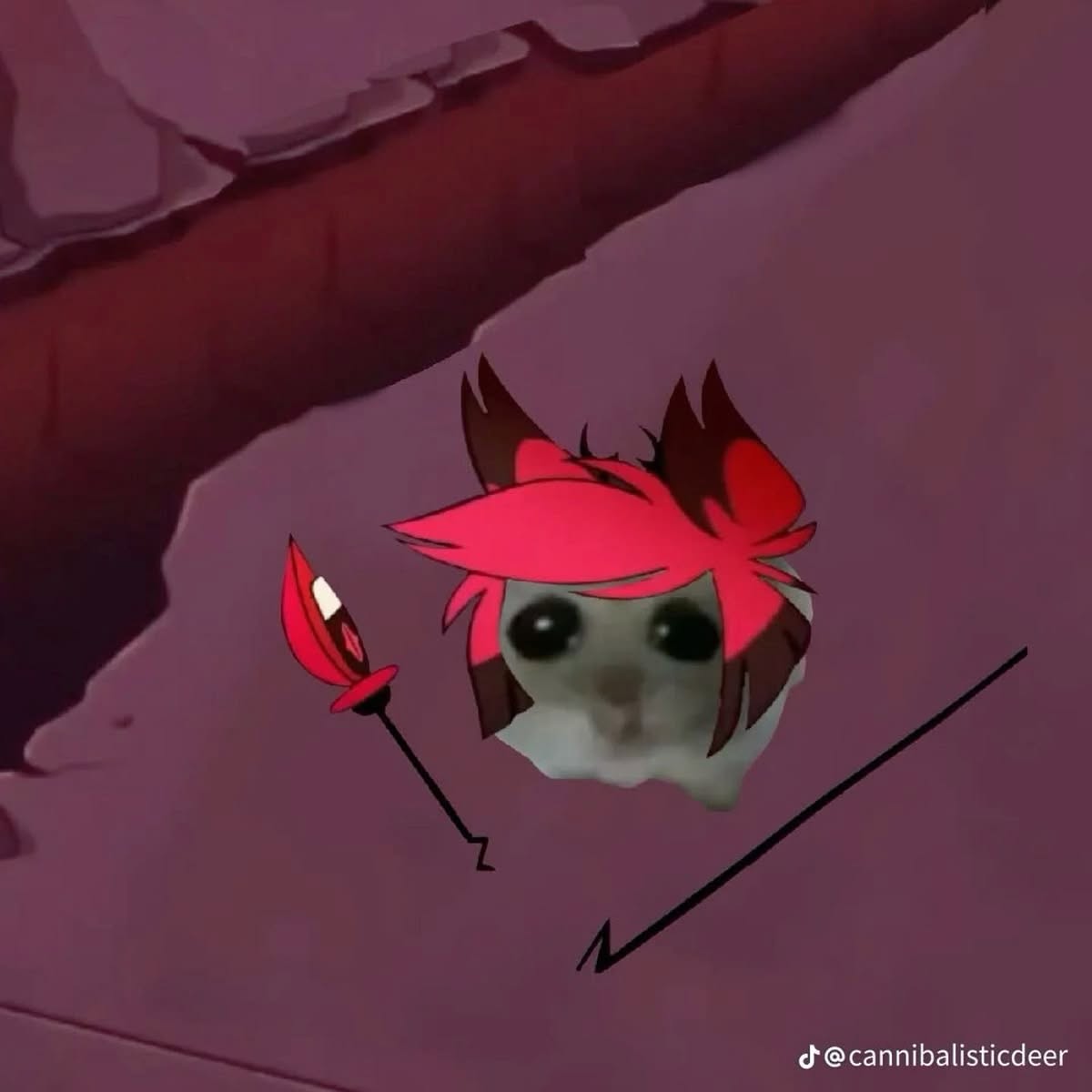 iamm3dusa instagram image archive image