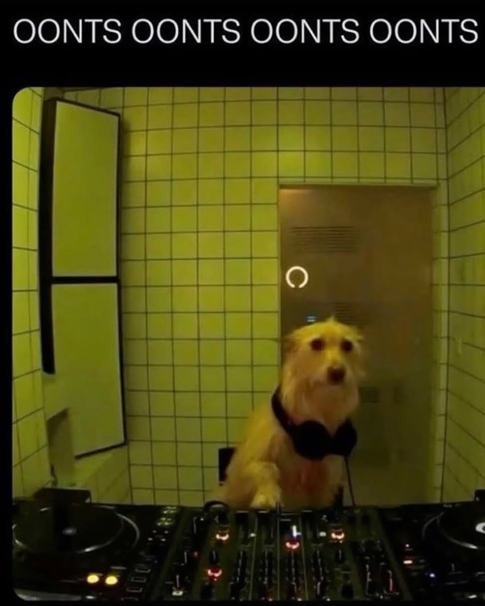 iamm3dusa instagram image archive image