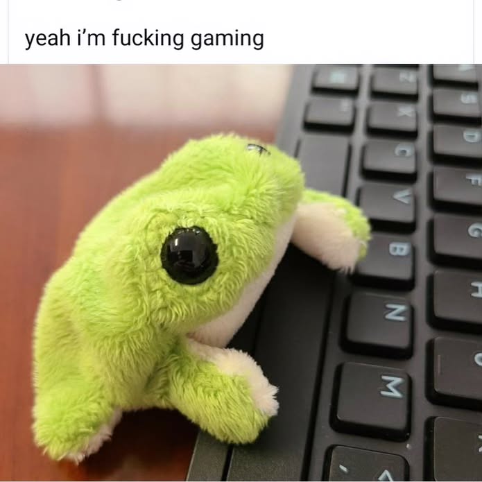 iamm3dusa instagram image archive image