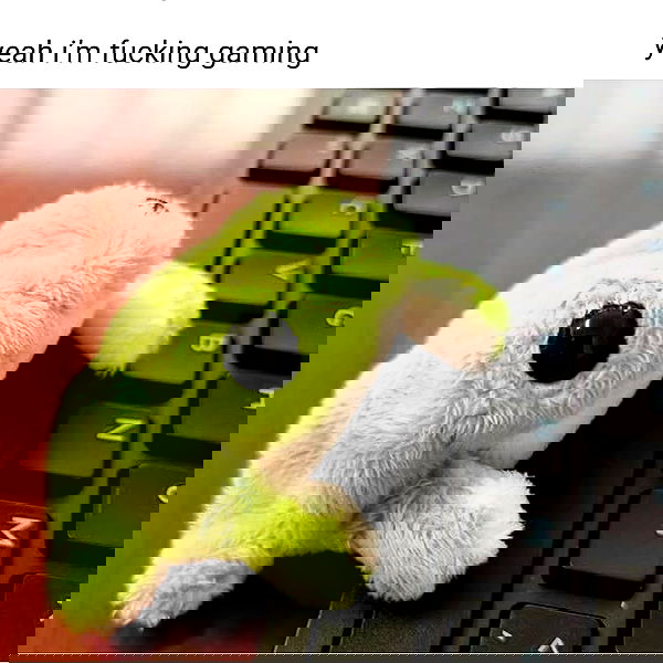 iamm3dusa image ~ Altpins