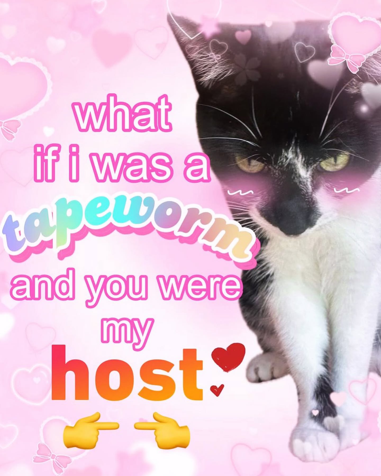 iamm3dusa instagram image archive image