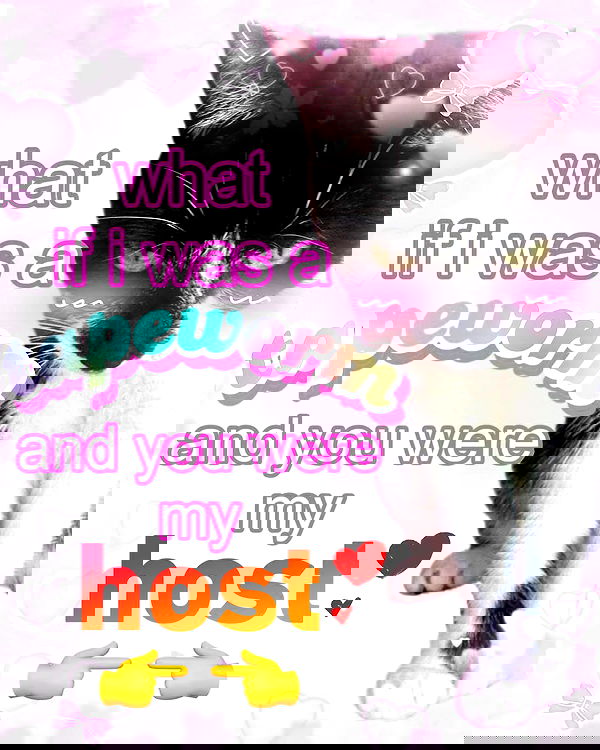 iamm3dusa image ~ Altpins