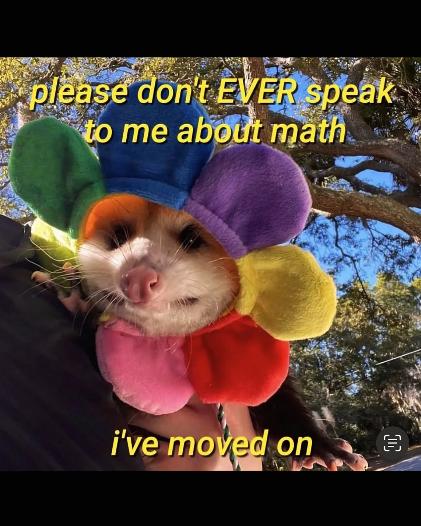 iamm3dusa instagram image archive image