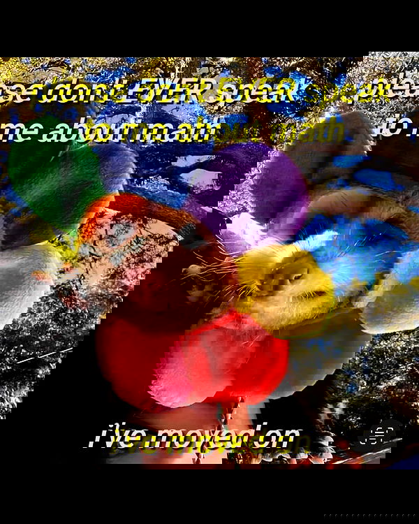 iamm3dusa image ~ Altpins