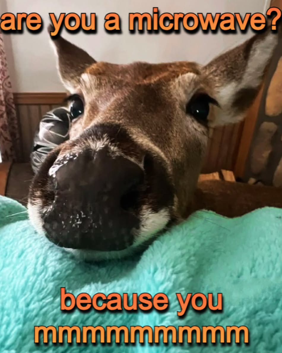 iamm3dusa instagram image archive image