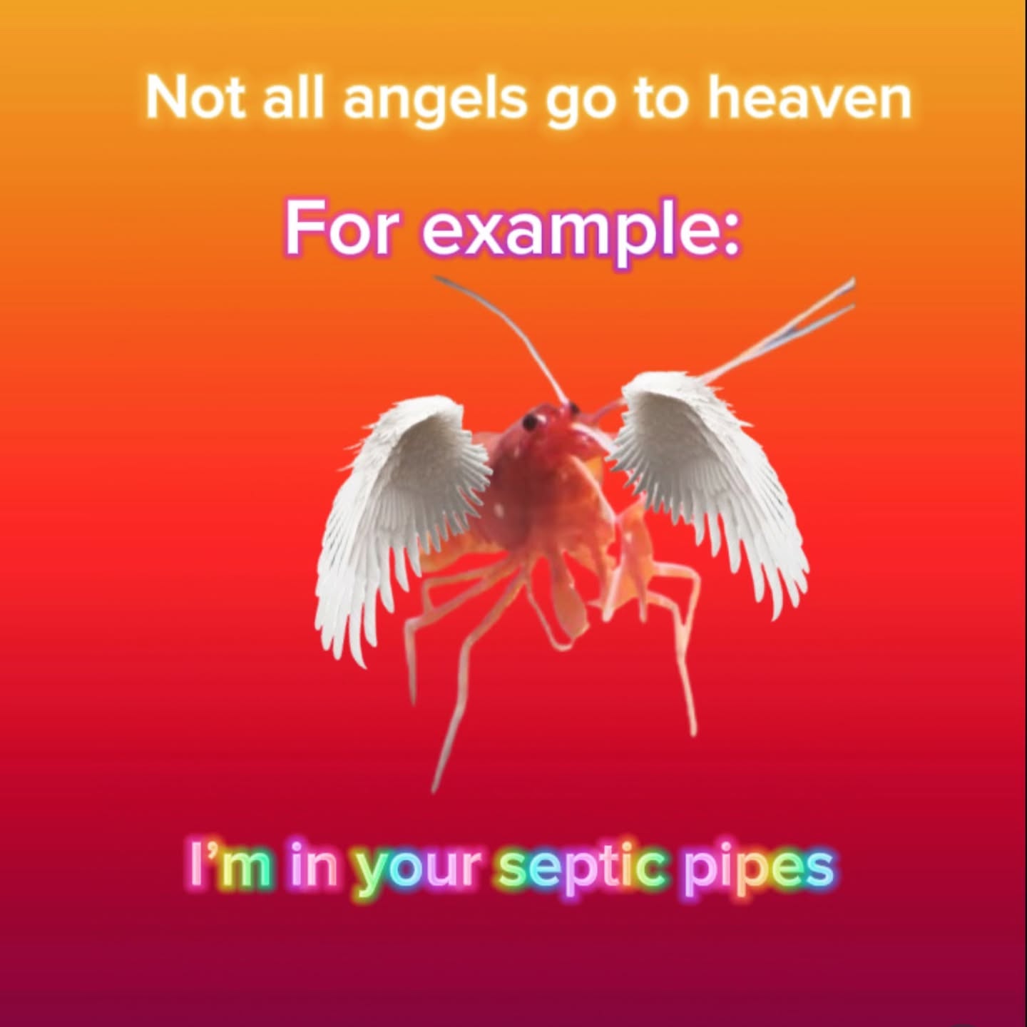 iamm3dusa instagram image archive image