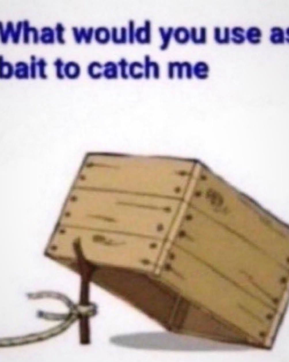 iamm3dusa instagram image archive image