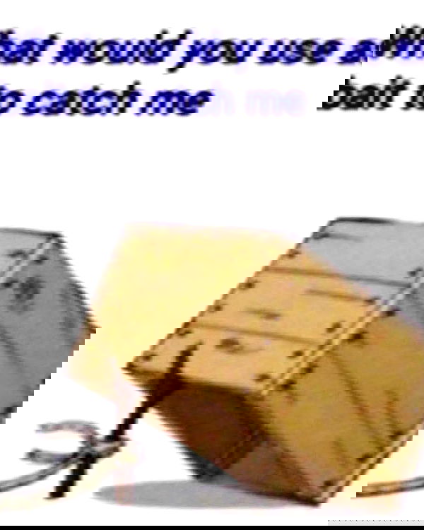 iamm3dusa image ~ Altpins