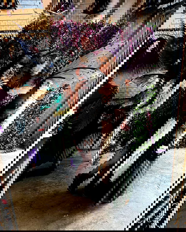 iamm3dusa image ~ Altpins