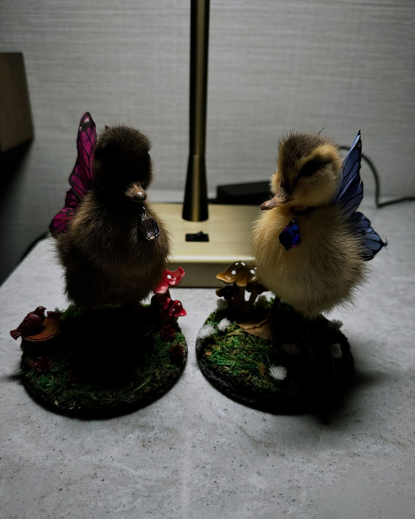 iamm3dusa instagram image archive image