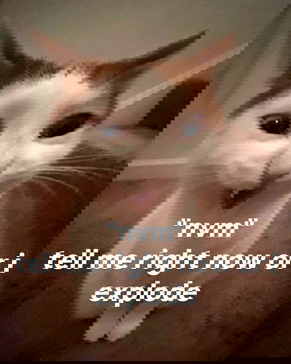 iamm3dusa image ~ Altpins