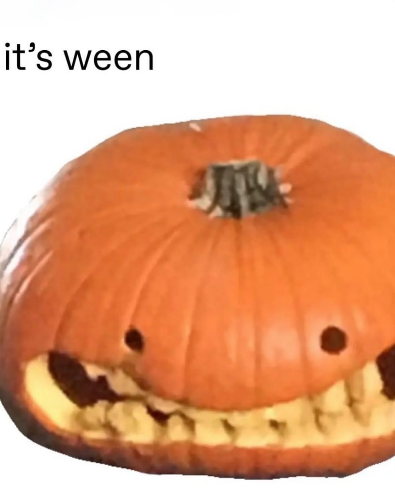 iamm3dusa instagram image archive image