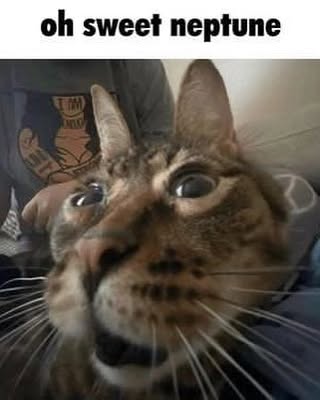 iamm3dusa instagram image archive image