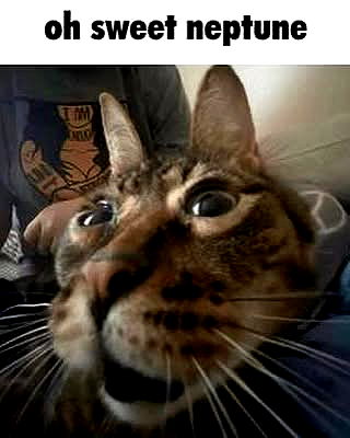 iamm3dusa image ~ Altpins