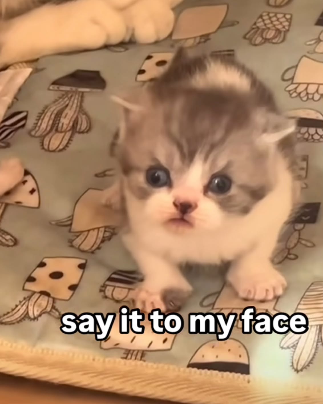 iamm3dusa instagram image archive image