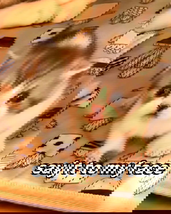 iamm3dusa image ~ Altpins