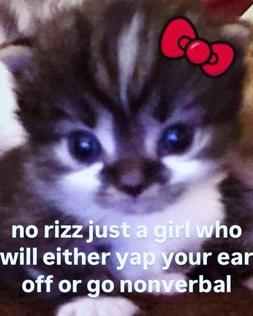 iamm3dusa instagram image archive image