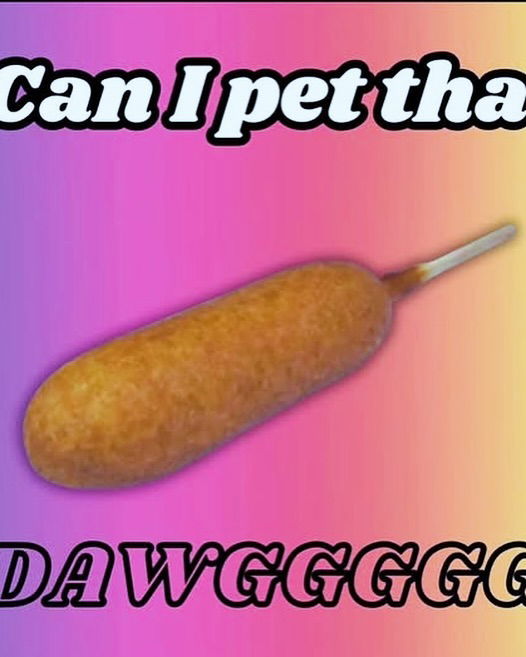 iamm3dusa instagram image archive image