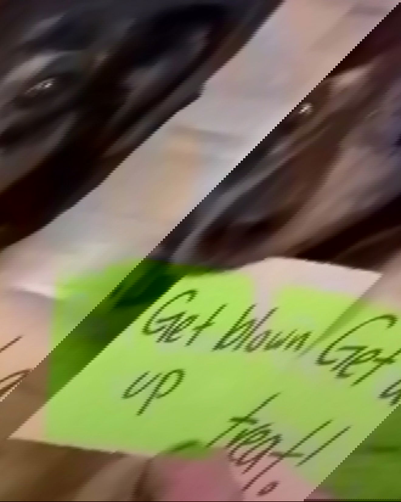 iamm3dusa instagram image archive image