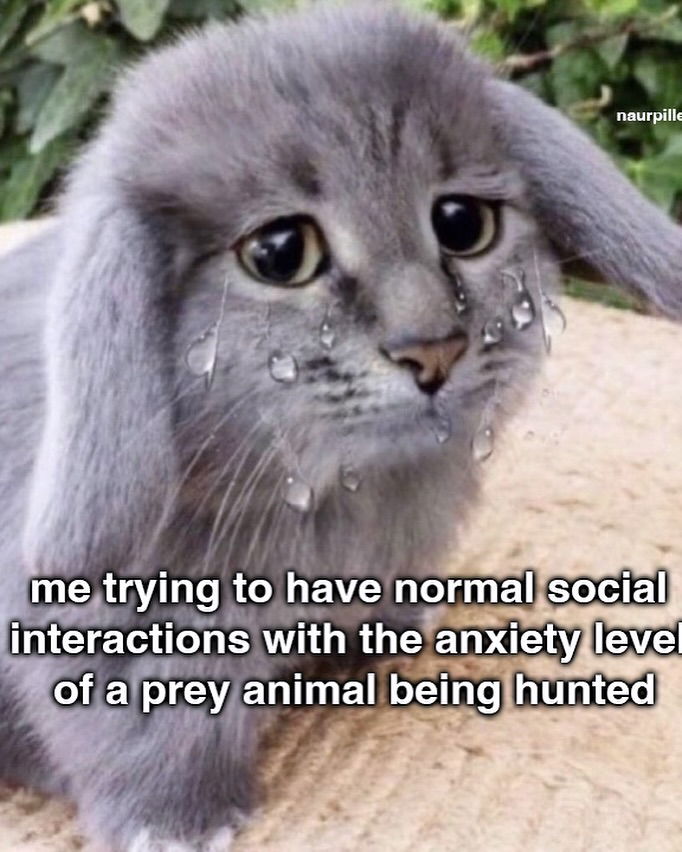 iamm3dusa instagram image archive image