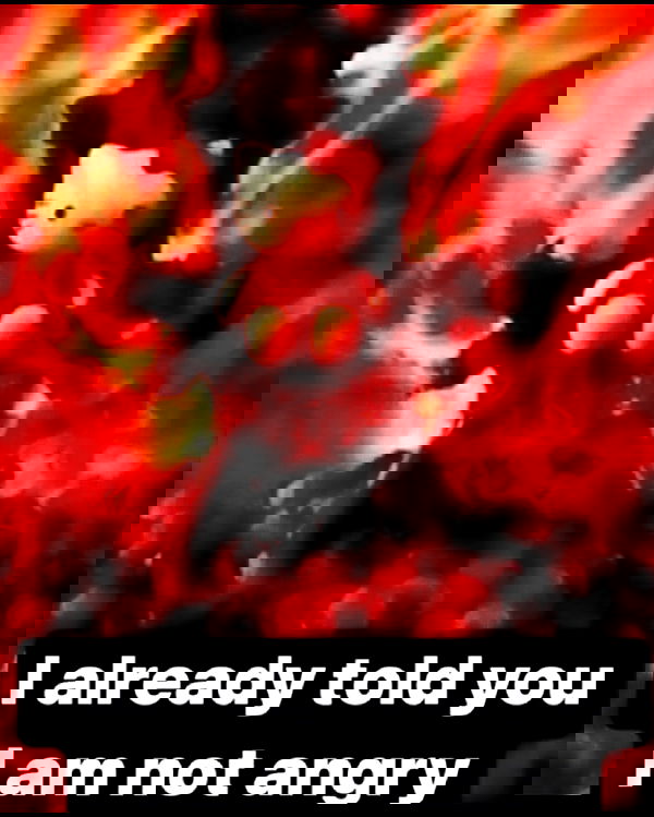 iamm3dusa image ~ Altpins