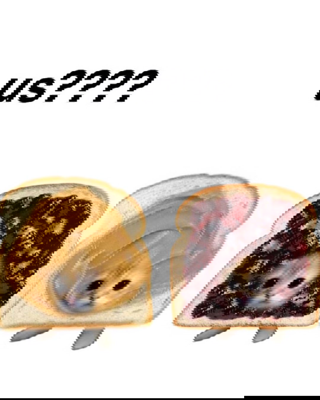 iamm3dusa instagram image archive image